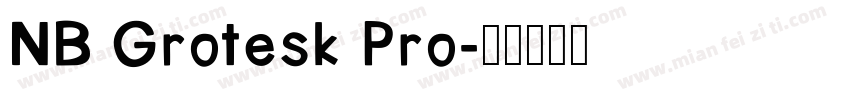 NB Grotesk Pro字体转换